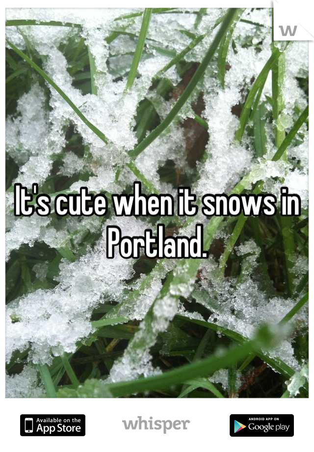 It's cute when it snows in Portland.