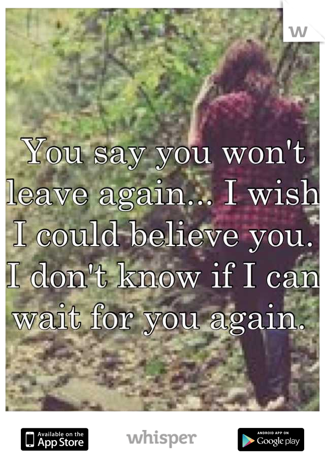 You say you won't leave again... I wish I could believe you. I don't know if I can wait for you again. 