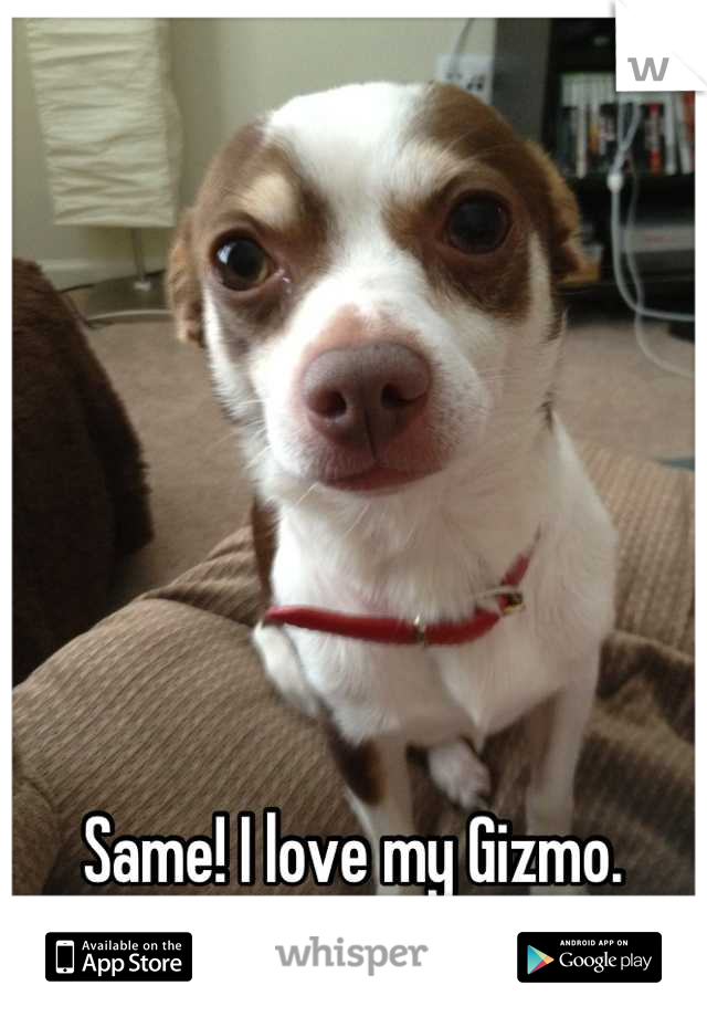 Same! I love my Gizmo.