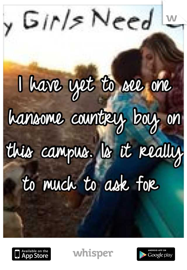 I have yet to see one hansome country boy on this campus. Is it really to much to ask for 