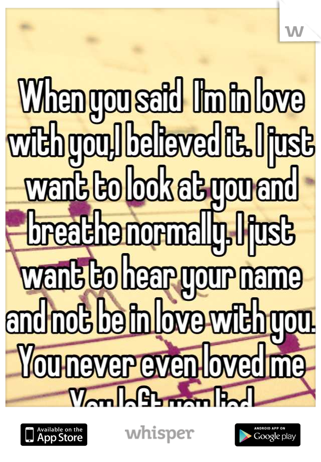 When you said  I'm in love with you,I believed it. I just want to look at you and breathe normally. I just want to hear your name and not be in love with you. 
You never even loved me
You left,you lied