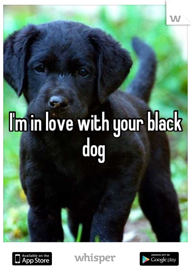 I'm in love with your black dog 