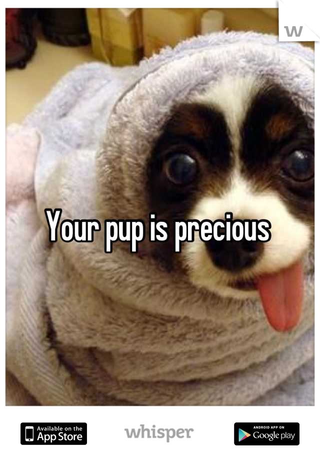 Your pup is precious 