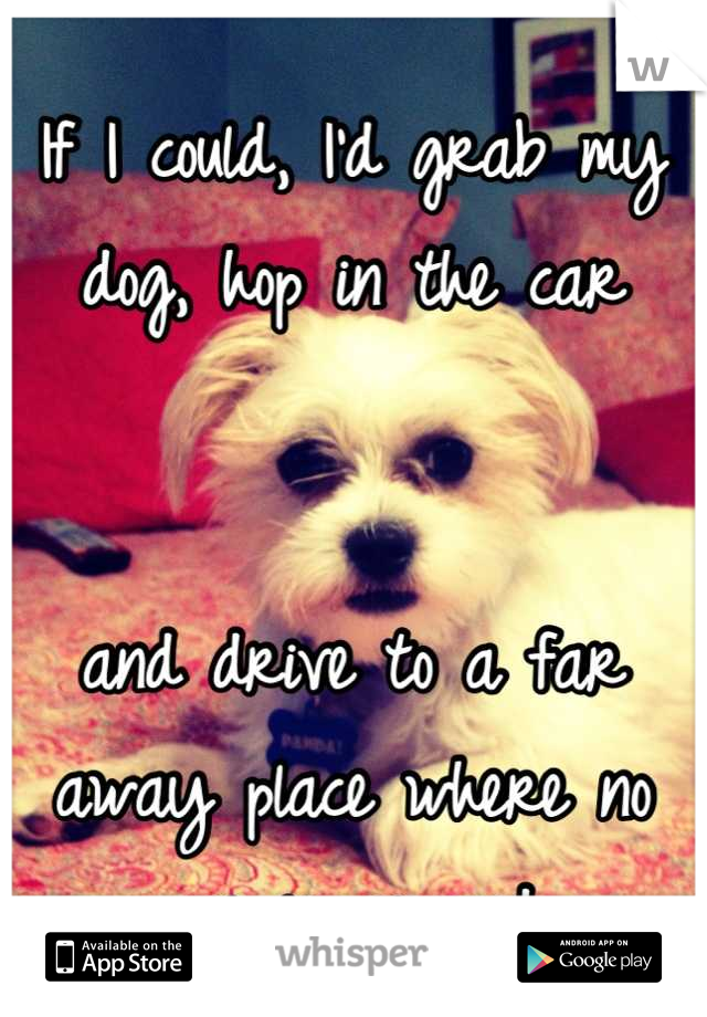 If I could, I'd grab my dog, hop in the car


and drive to a far away place where no one is around