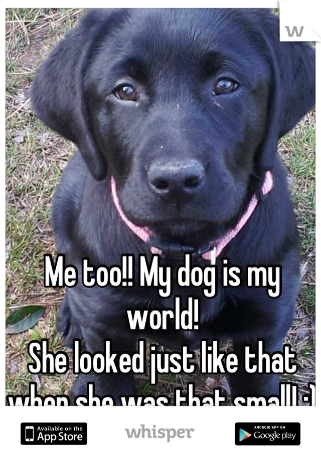 




Me too!! My dog is my world!
She looked just like that when she was that small! :)