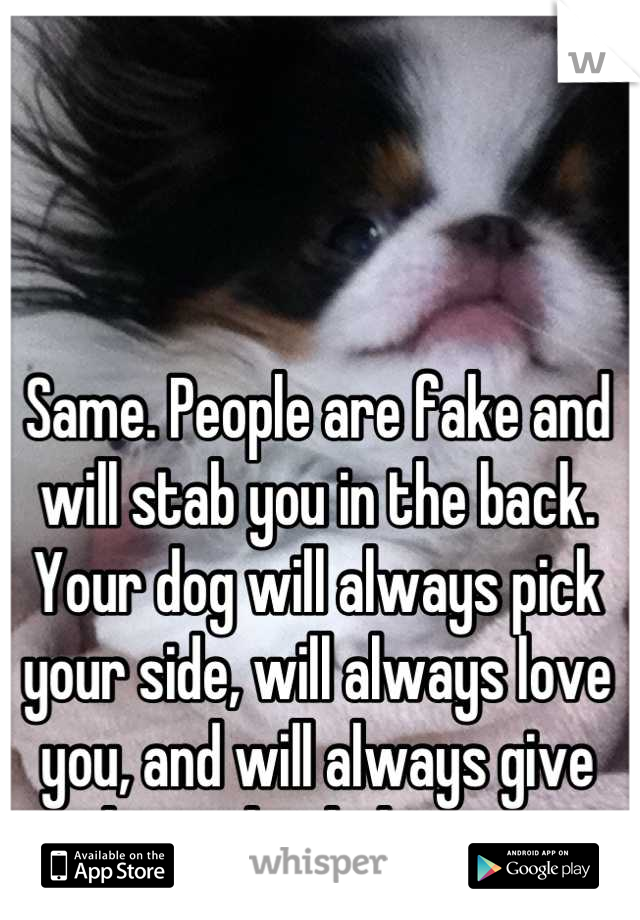 Same. People are fake and will stab you in the back. Your dog will always pick your side, will always love you, and will always give you his undivided attention