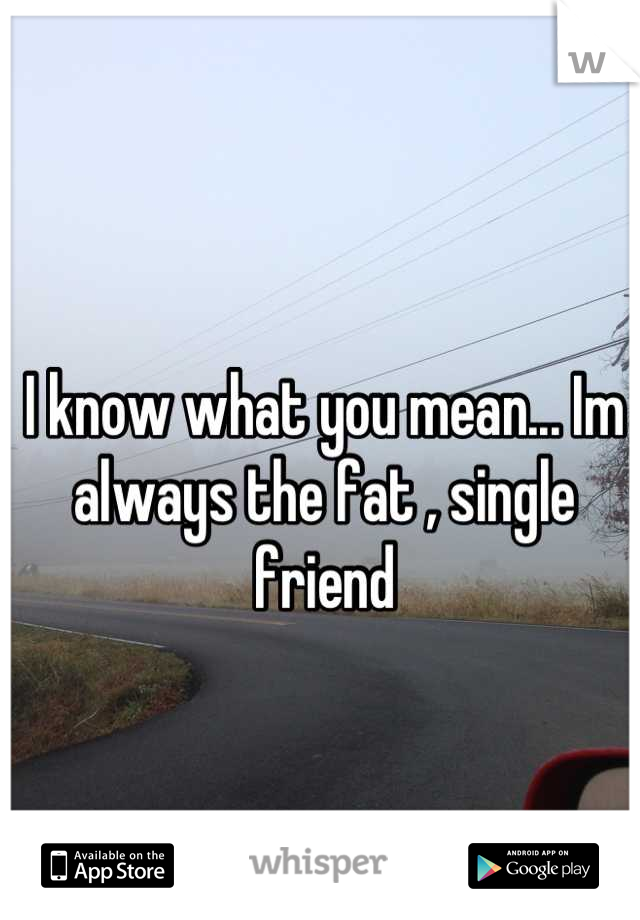 I know what you mean... Im always the fat , single friend