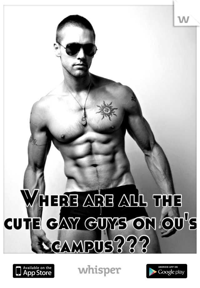 Where are all the cute gay guys on ou's campus???