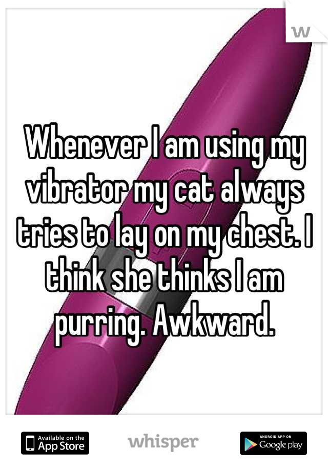 Whenever I am using my vibrator my cat always tries to lay on my chest. I think she thinks I am purring. Awkward.