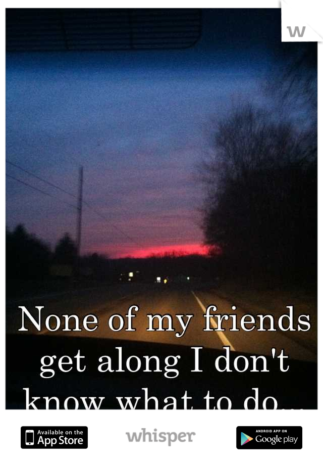 None of my friends get along I don't know what to do...