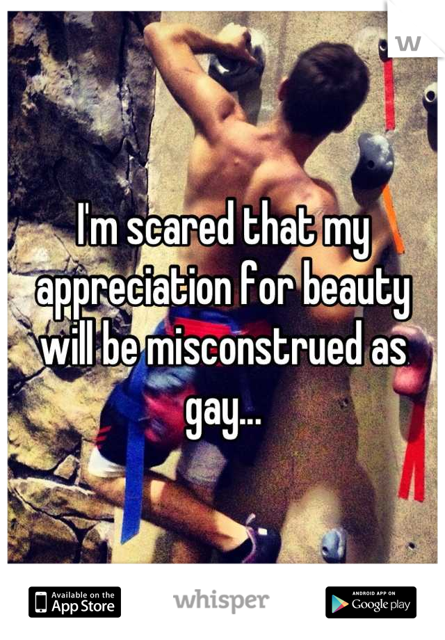 I'm scared that my appreciation for beauty will be misconstrued as gay...