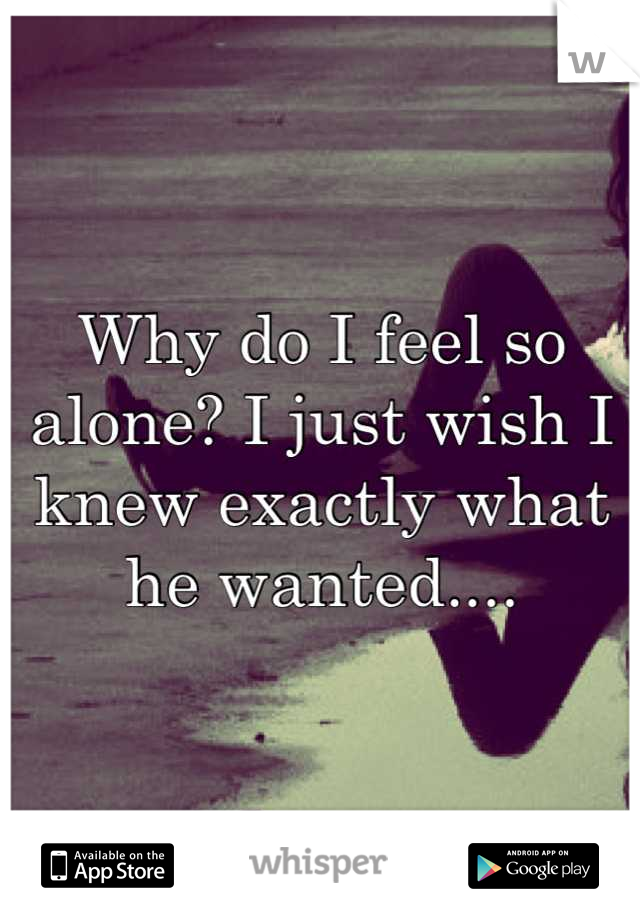 Why do I feel so alone? I just wish I knew exactly what he wanted....