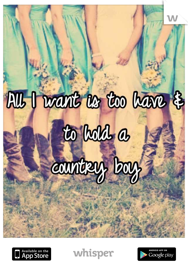 All I want is too have & to hold a
country boy