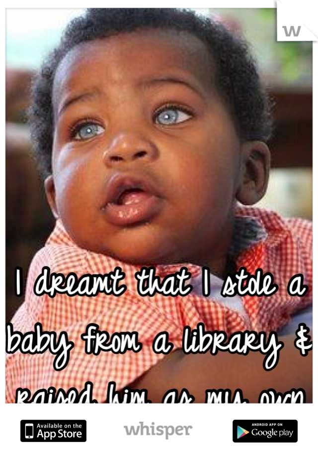 



I dreamt that I stole a baby from a library & raised him as my own