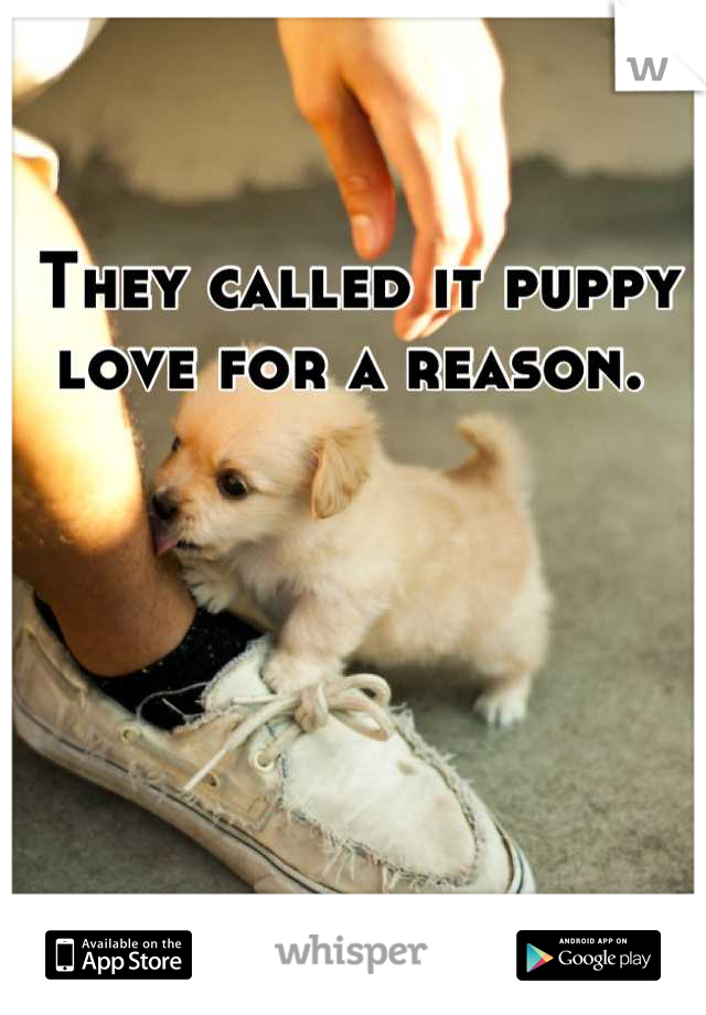 They called it puppy love for a reason. 