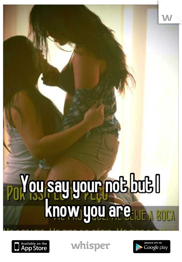 You say your not but I know you are 