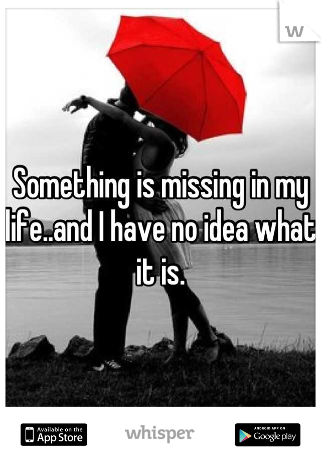 Something is missing in my life..and I have no idea what it is.