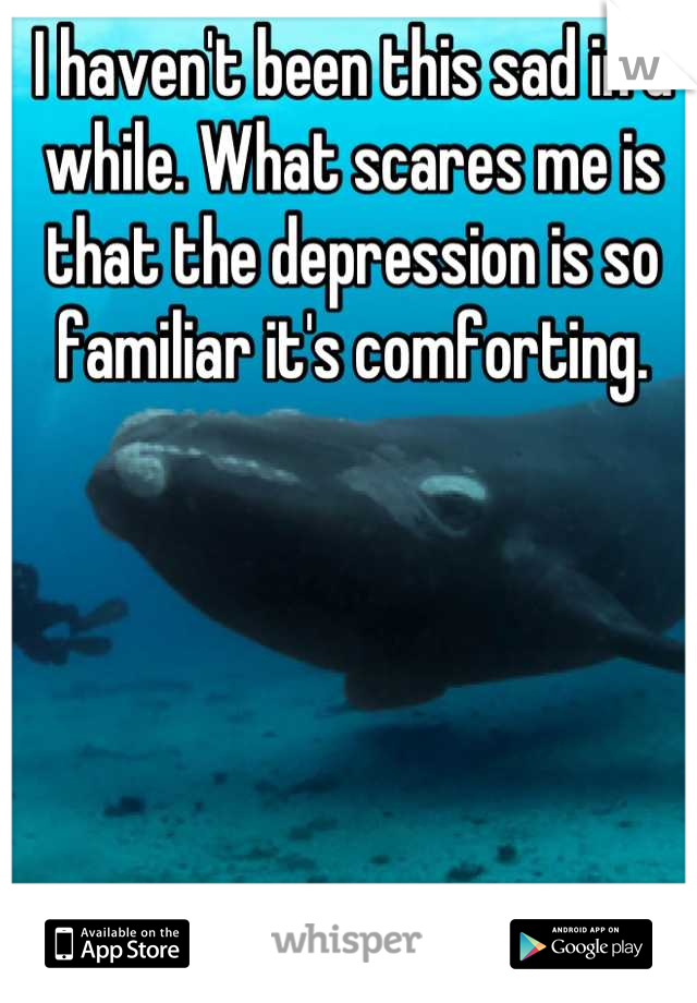 I haven't been this sad in a while. What scares me is that the depression is so familiar it's comforting.