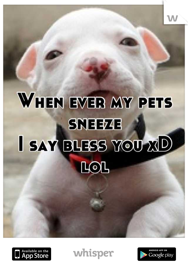 When ever my pets sneeze 
I say bless you xD lol