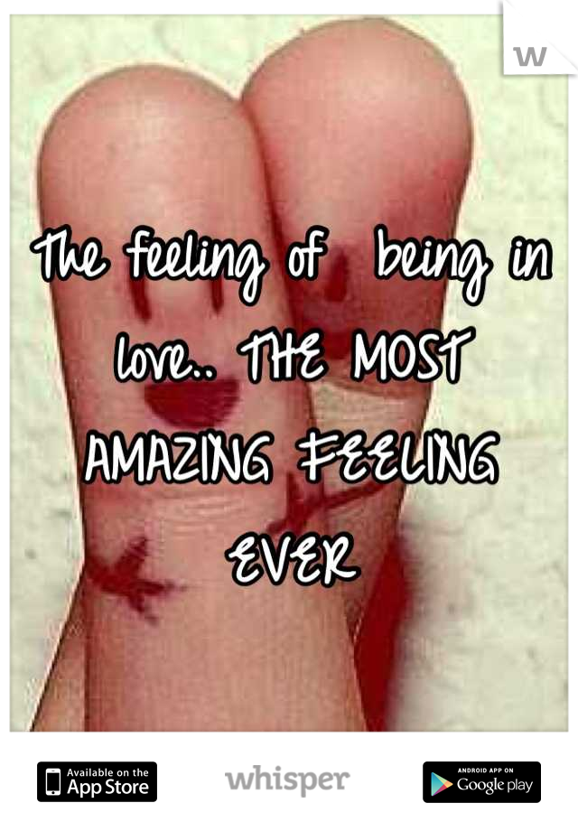 The feeling of  being in love.. THE MOST AMAZING FEELING EVER