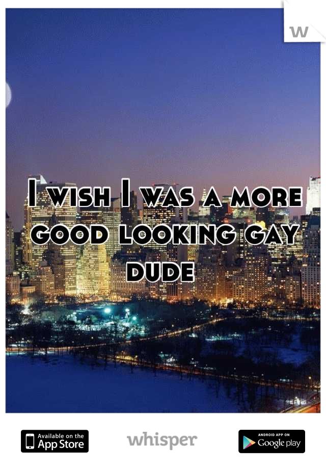 I wish I was a more good looking gay dude 