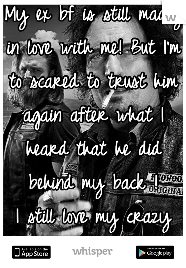 My ex bf is still madly in love with me! But I'm to scared to trust him again after what I heard that he did behind my back ! 
I still love my crazy biker boy ! 