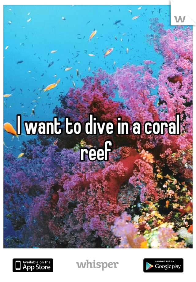 I want to dive in a coral reef 