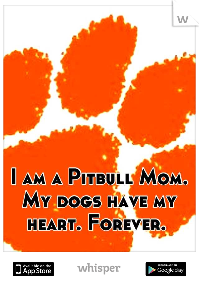 I am a Pitbull Mom. My dogs have my heart. Forever. 