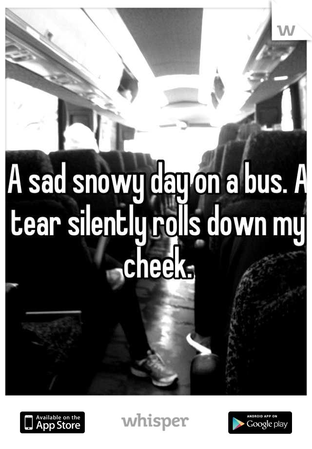 A sad snowy day on a bus. A tear silently rolls down my cheek.