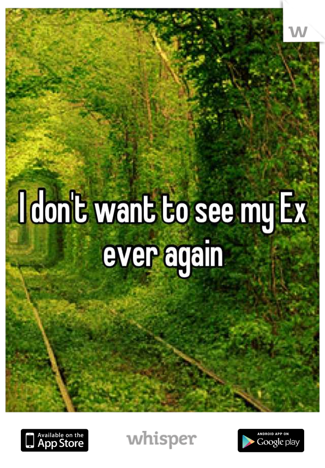 I don't want to see my Ex ever again