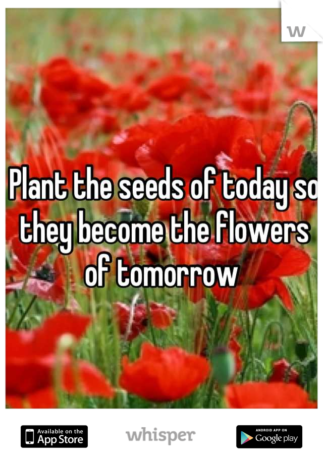 Plant the seeds of today so they become the flowers of tomorrow 