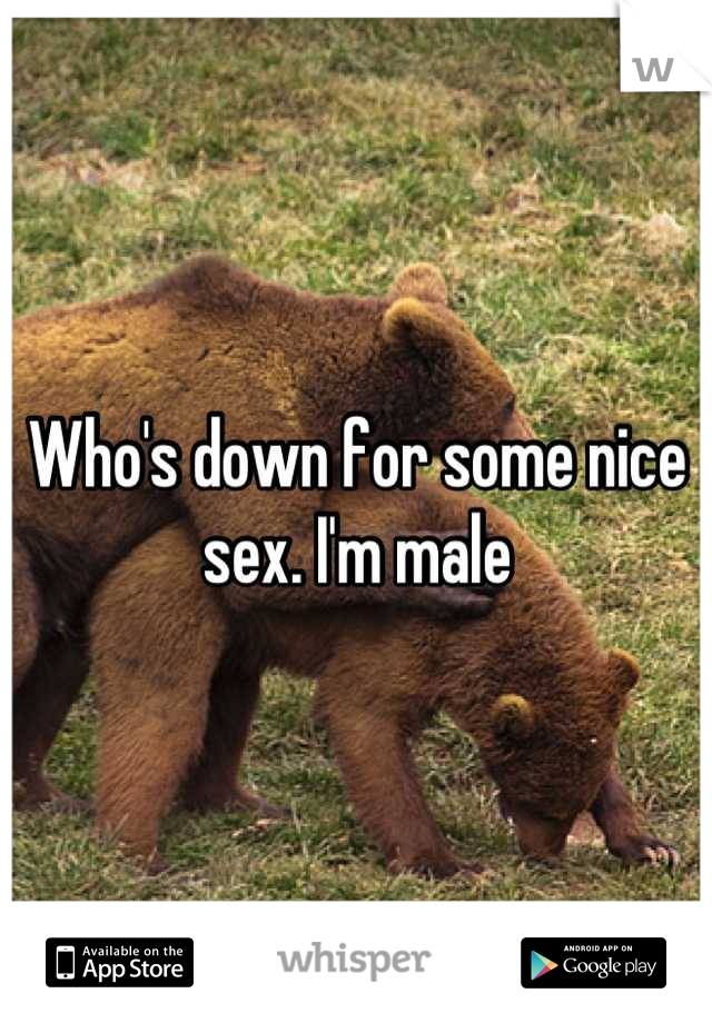 Who's down for some nice sex. I'm male