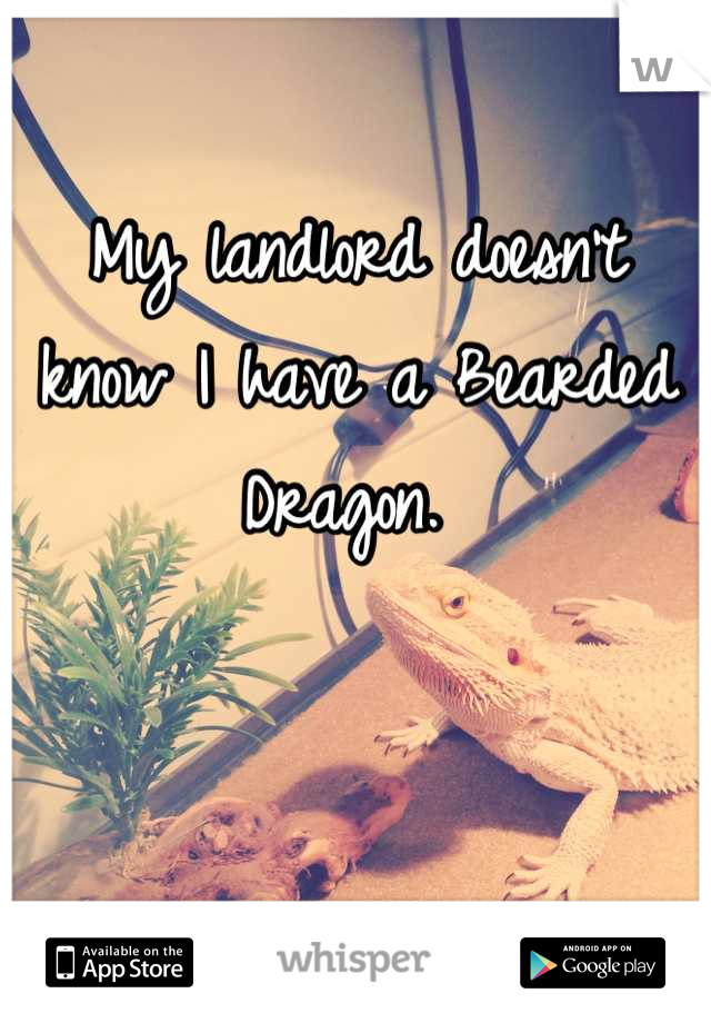 My landlord doesn't know I have a Bearded Dragon. 