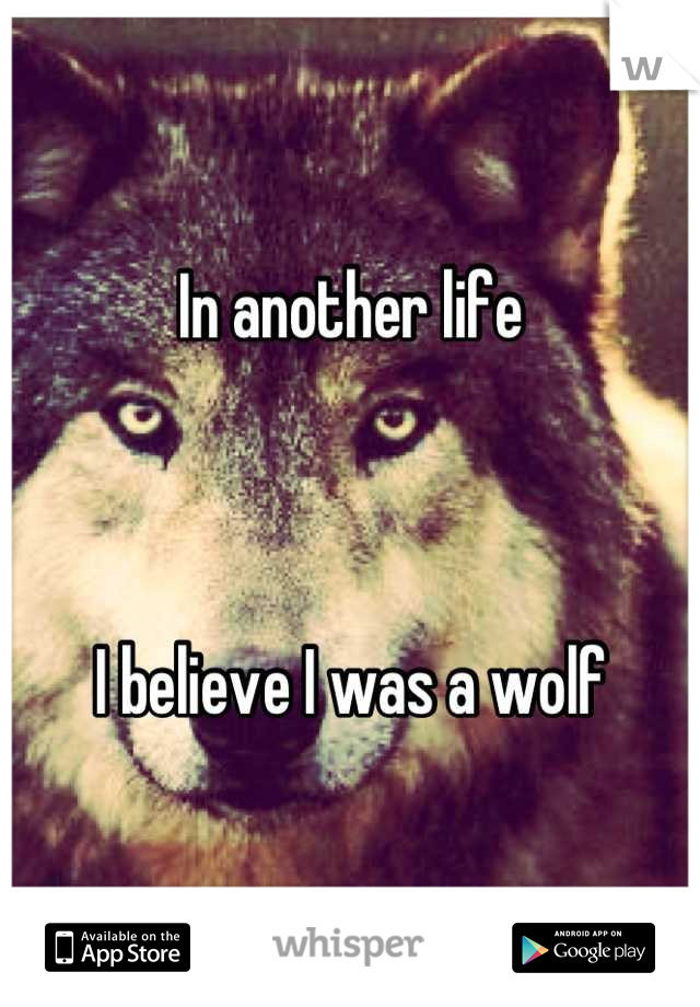 In another life



I believe I was a wolf