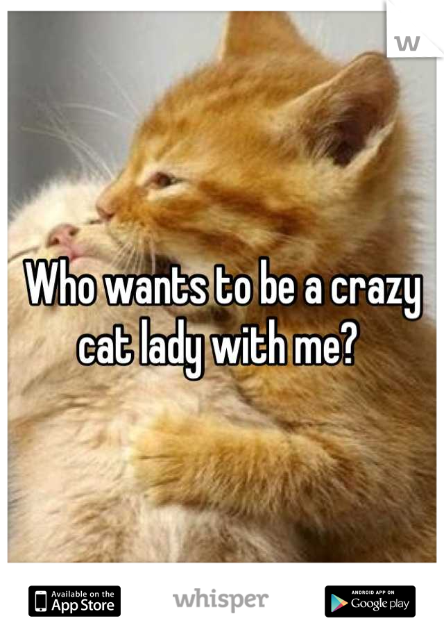 Who wants to be a crazy cat lady with me? 