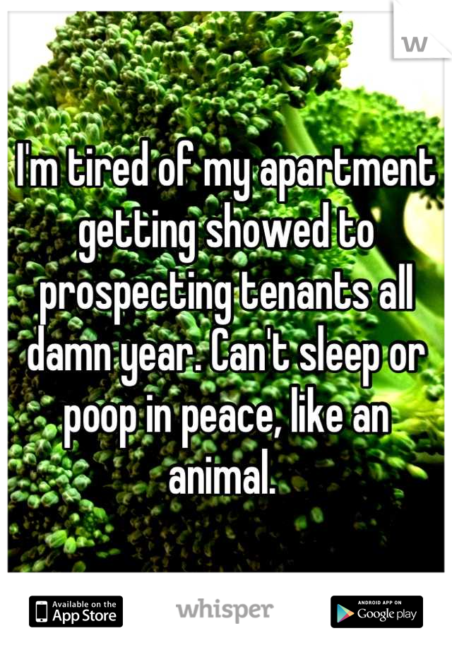 I'm tired of my apartment getting showed to prospecting tenants all damn year. Can't sleep or poop in peace, like an animal. 