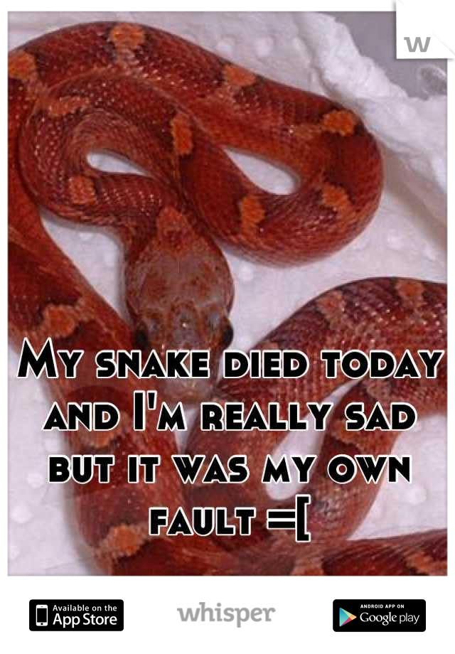 My snake died today and I'm really sad but it was my own fault =[