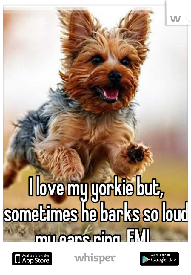 I love my yorkie but, sometimes he barks so loud my ears ring. FML.