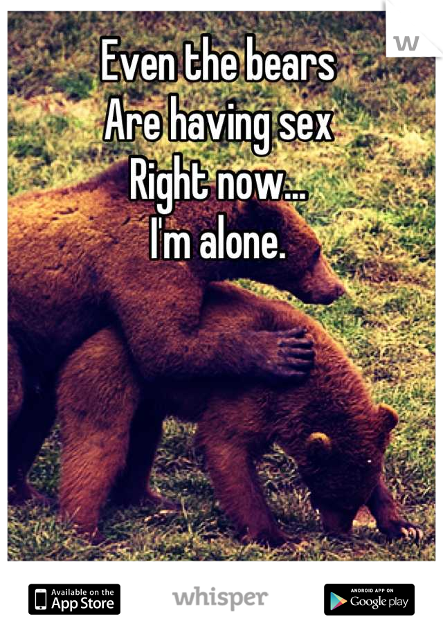 Even the bears 
Are having sex
Right now...
I'm alone.