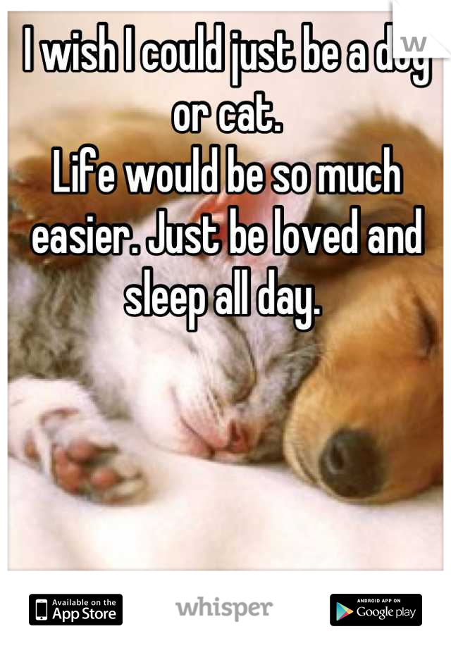 I wish I could just be a dog or cat. 
Life would be so much easier. Just be loved and sleep all day. 