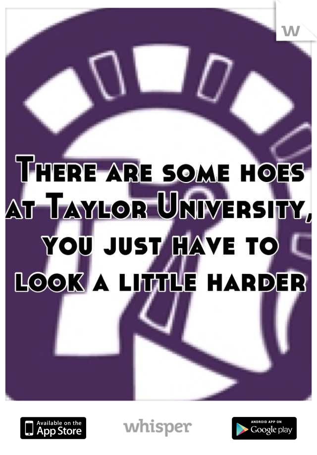 There are some hoes at Taylor University, you just have to look a little harder