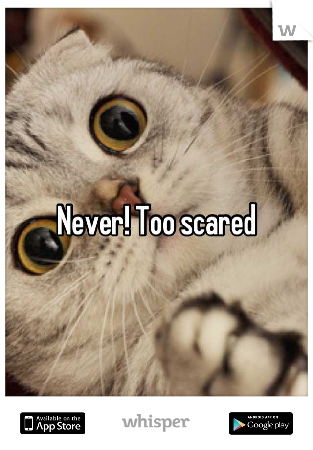 Never! Too scared