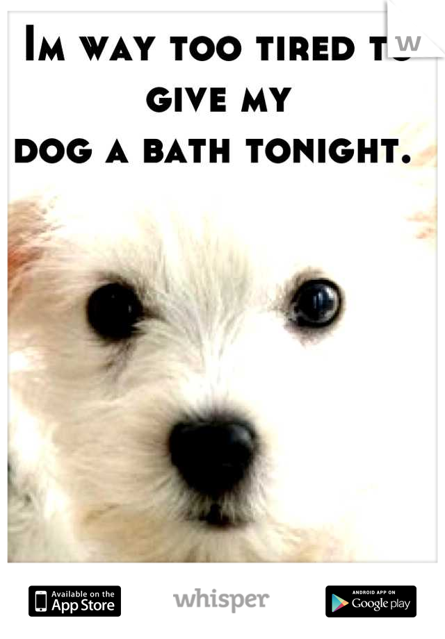 Im way too tired to give my 
dog a bath tonight. 