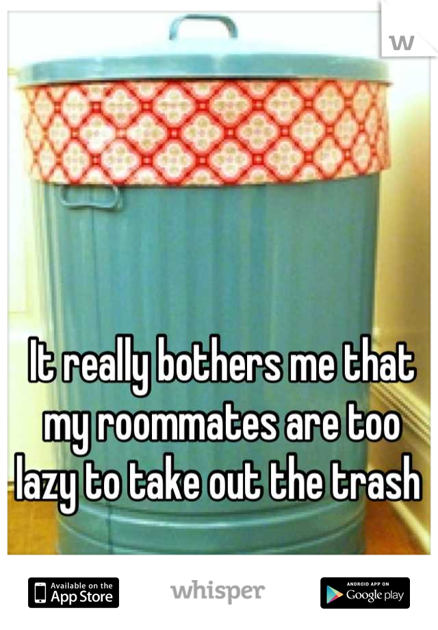 It really bothers me that my roommates are too lazy to take out the trash 