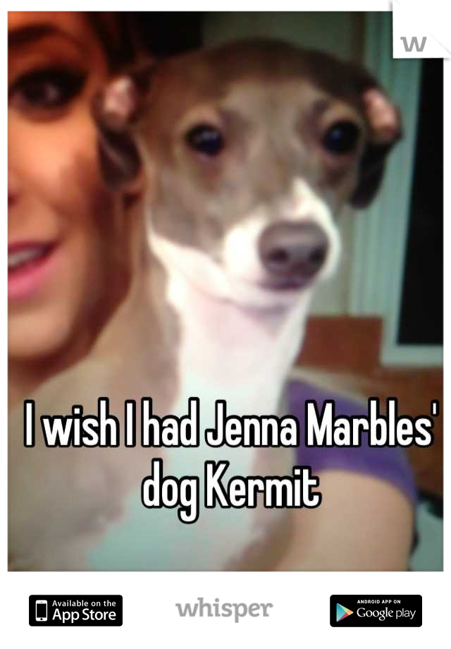 I wish I had Jenna Marbles' dog Kermit