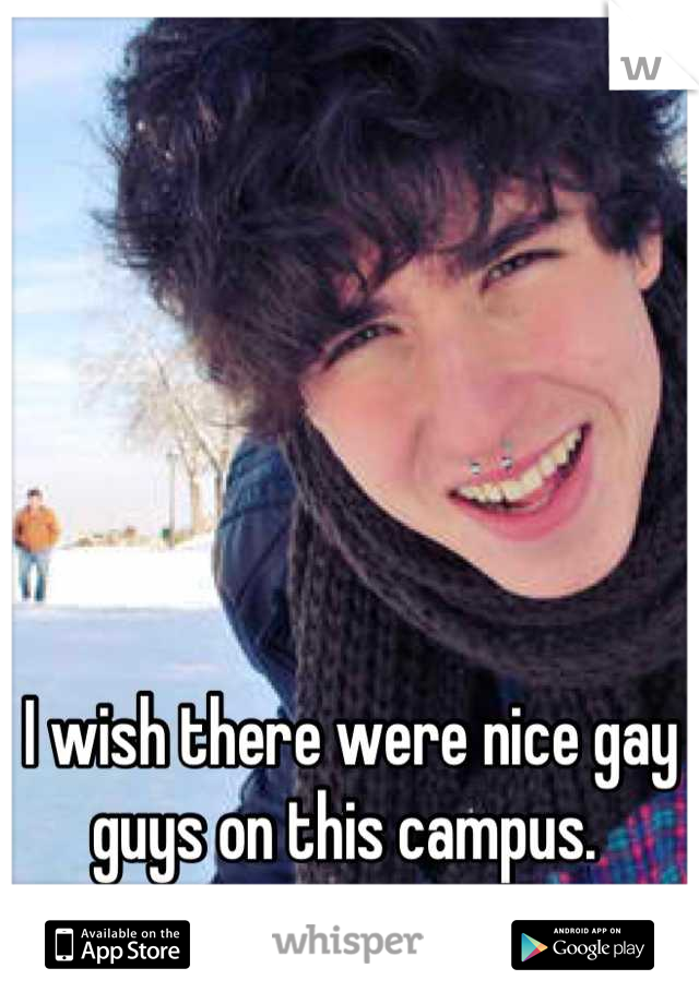 I wish there were nice gay guys on this campus. 