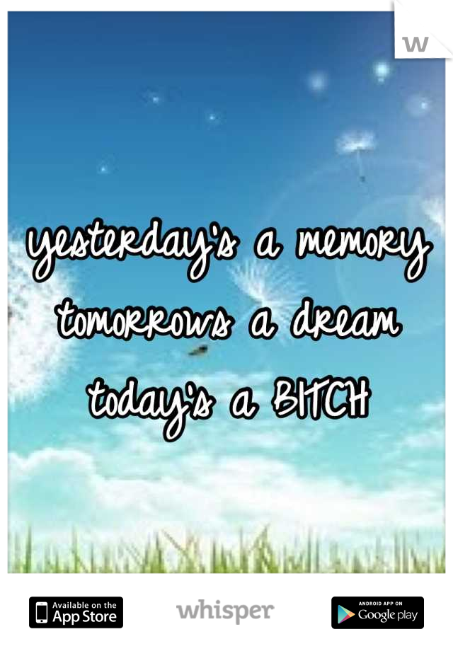 yesterday's a memory
tomorrows a dream
today's a BITCH