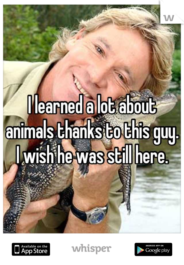 I learned a lot about animals thanks to this guy. I wish he was still here.