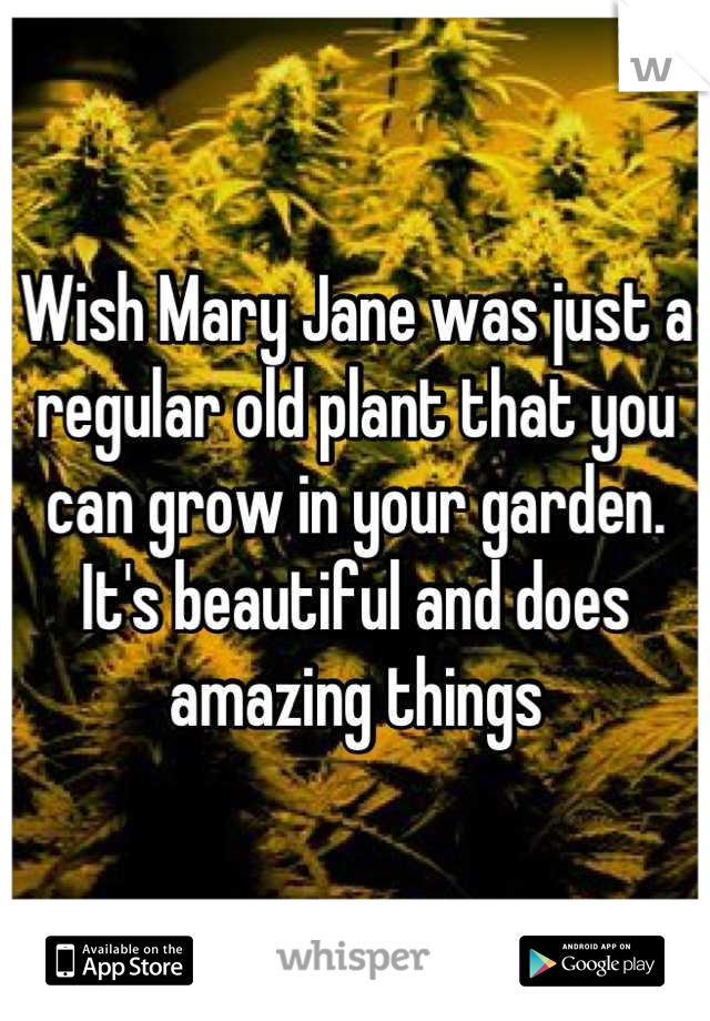 Wish Mary Jane was just a regular old plant that you can grow in your garden. It's beautiful and does amazing things