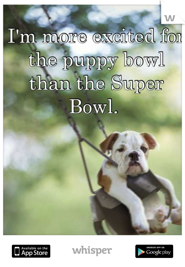 I'm more excited for the puppy bowl than the Super Bowl. 
